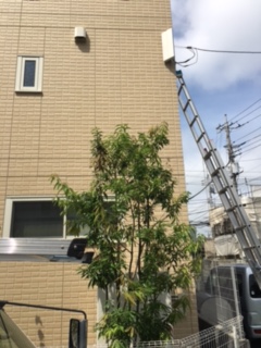 アンテナ工事 アンテナ工事